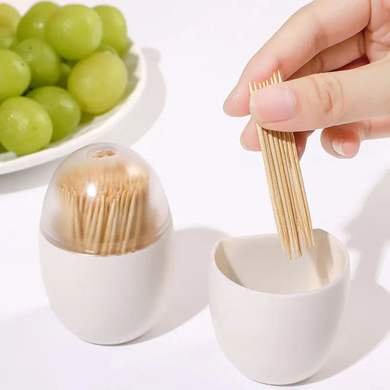 Magnetic Refrigerator Toothpick Holder Container