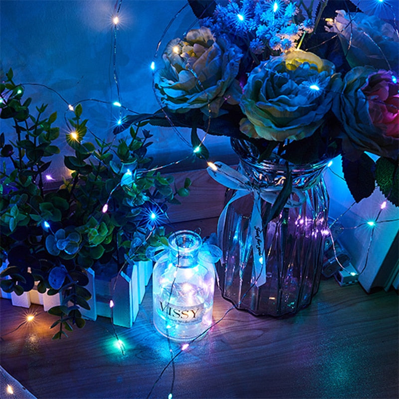 Led Fairy Lights Copper Wire String 3M 30 Led Holiday