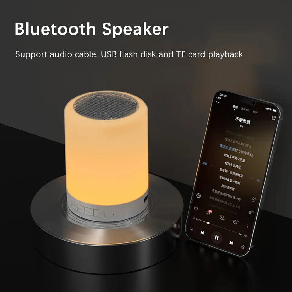 Rechargeable Touch Lamp And Speaker