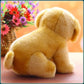Cute baby plush dog