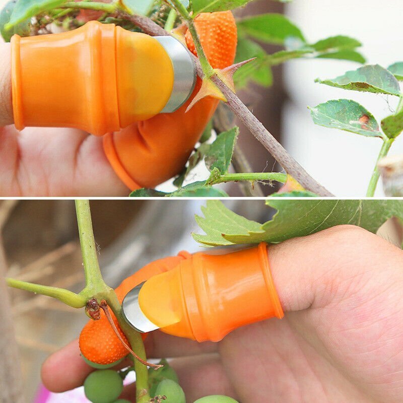 Silicone 5 pcs Set  Thumb Knife Finger Protector
