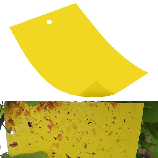 5 pcs Insects Glue Sticky Board Trap Double-sided Flying Insect Catching