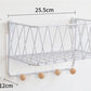 Iron Grid Wall Mounted Storage Basket