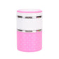 Cute Mini Portable Japanese Bento Box Leak-Proof Stainless Steel Thermal Lunch Boxs